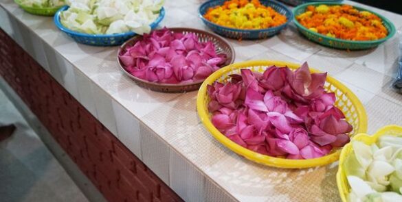 256749164_421118506353100_3219871400702076926_n