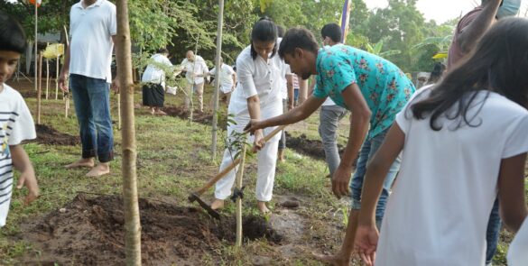 257524981_421132556351695_9100254497723534623_n