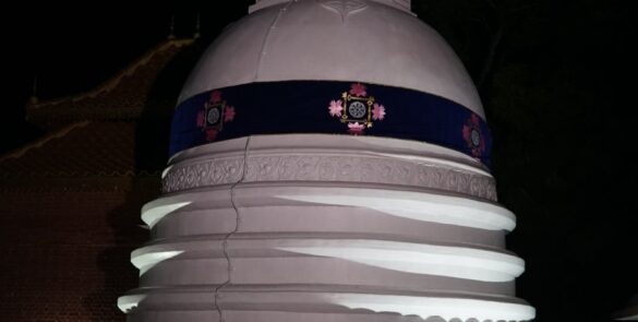 257617486_421123179685966_4479791583931793501_n