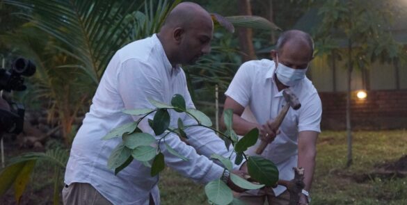 257838836_421128946352056_4477326594048500584_n