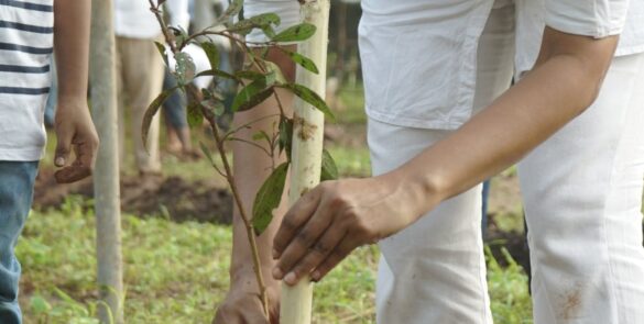 258081710_421132499685034_2996477409727588417_n